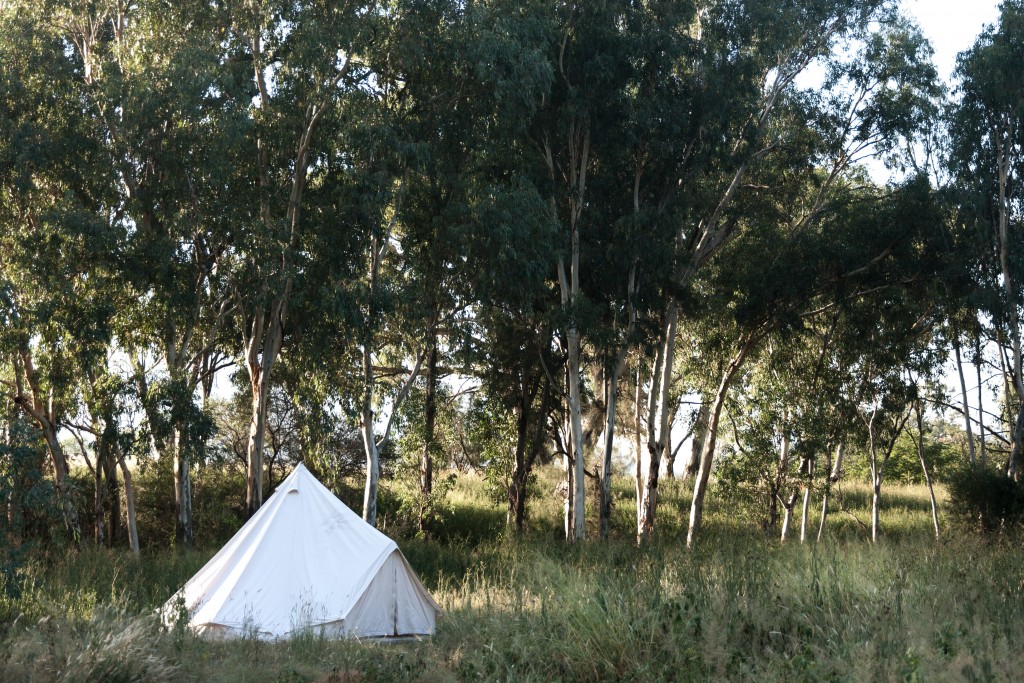 Camping on the Dumaresq River, Bonshaw