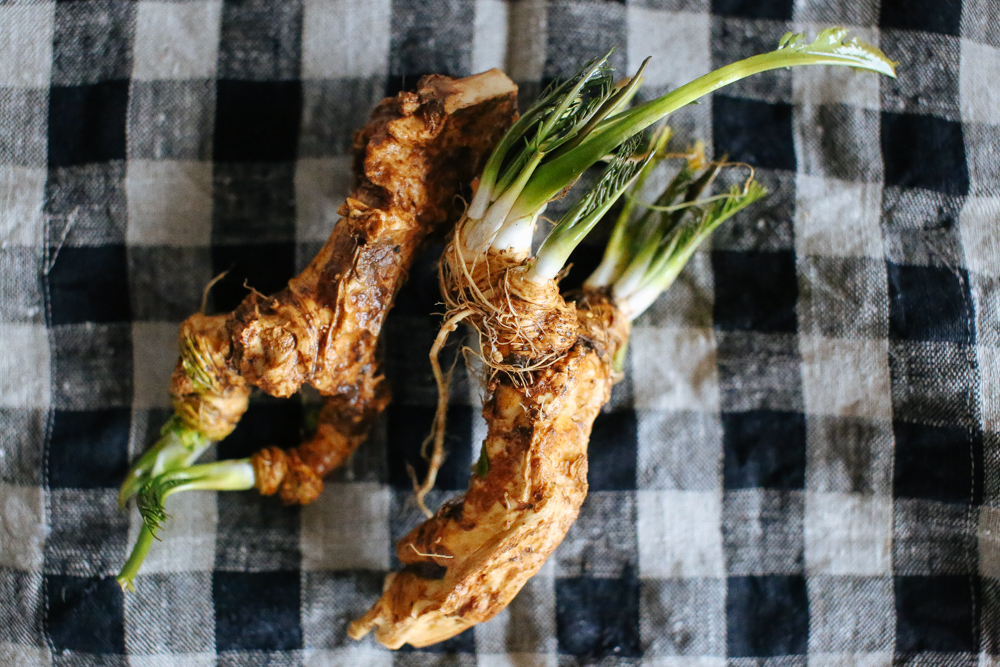 beets with horseradish-2
